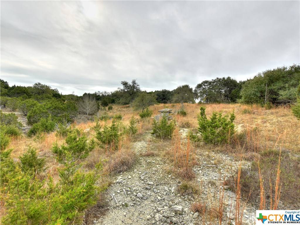 Dripping Springs, TX 78620,18012 Turkey Trot