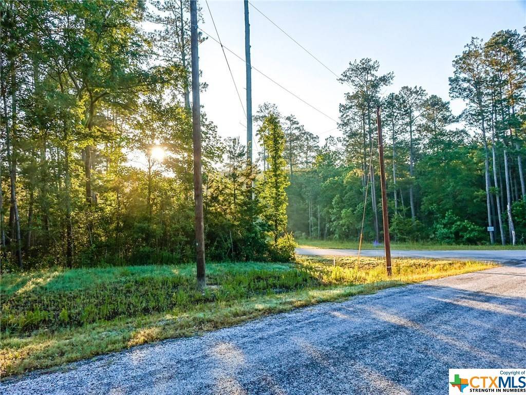 Huntsville, TX 77340,Lot 205 Single Shot CT