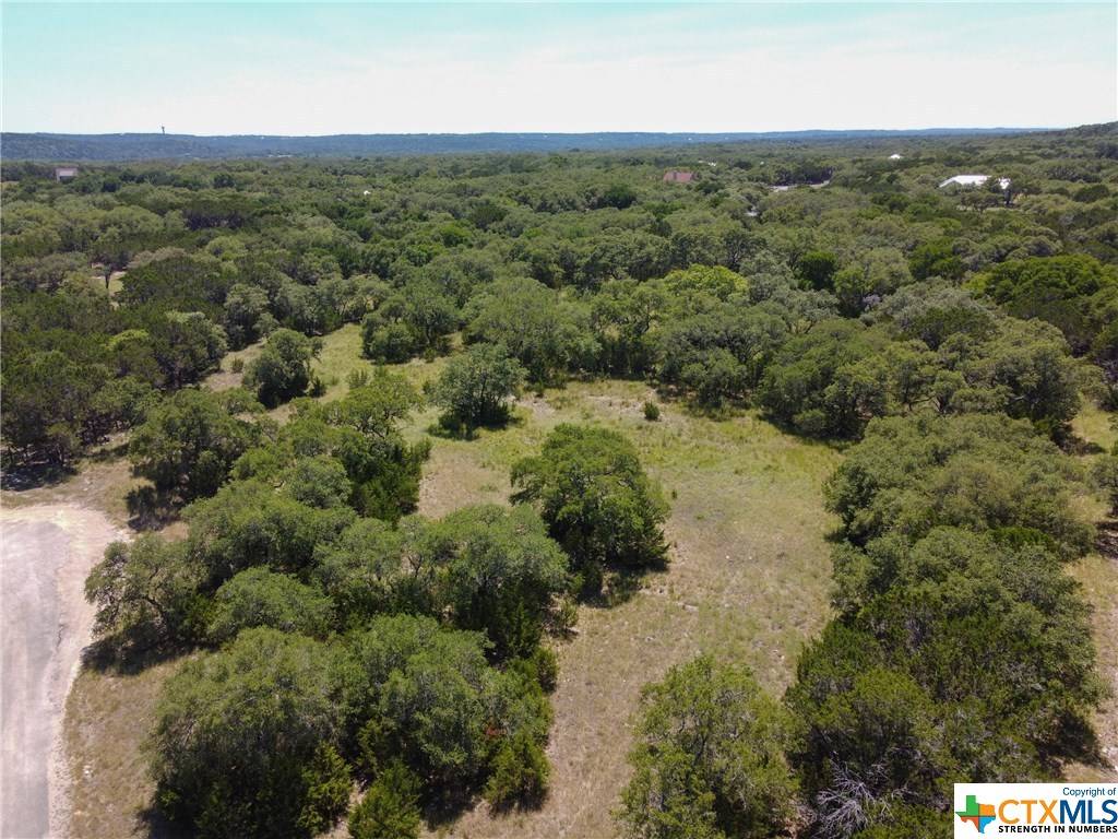 Wimberley, TX 78676,TBA Thomas Oaks