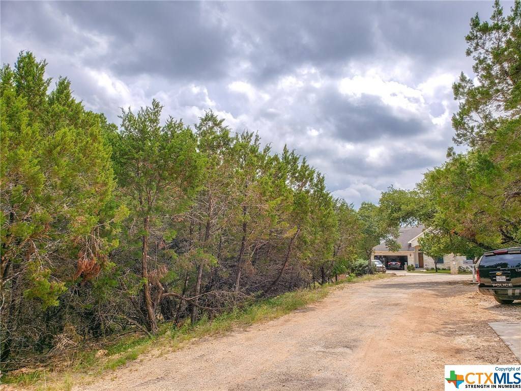 Wimberley, TX 78676,Lot 54 Basswood CIR