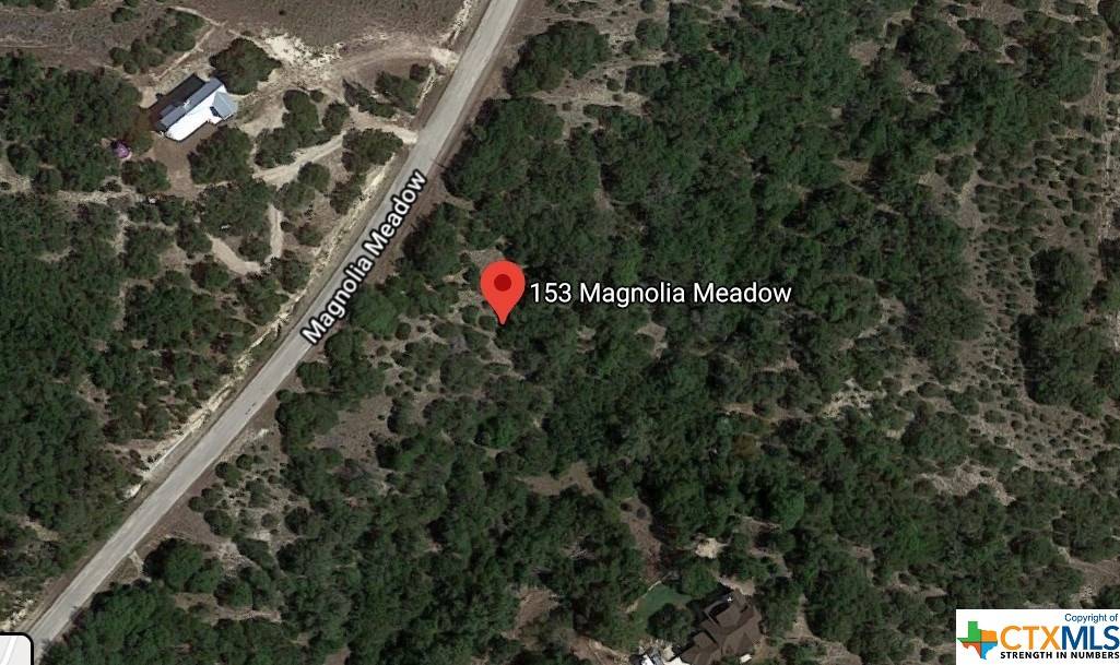 Canyon Lake, TX 78133,153 Magnolia Meadow