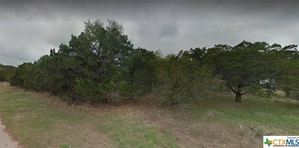 Canyon Lake, TX 78133,3484 Lakeview DR