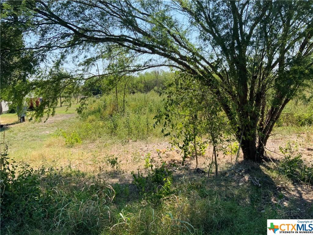 Seguin, TX 78155,1860 Ilka Switch RD