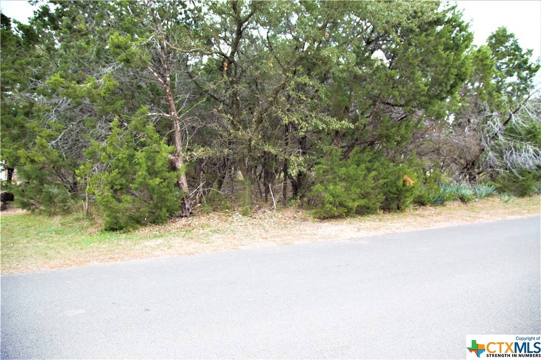 Belton, TX 76513,22 Cedar Trails DR