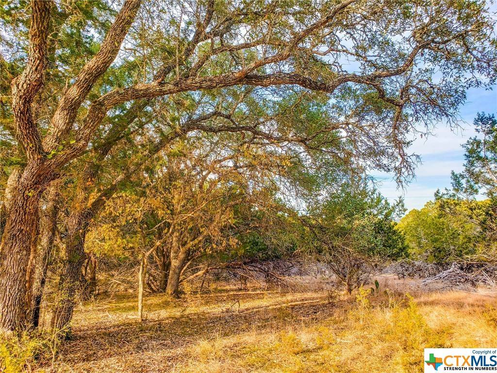 Bandera, TX 78003,Lot 393 Palomino SPGS