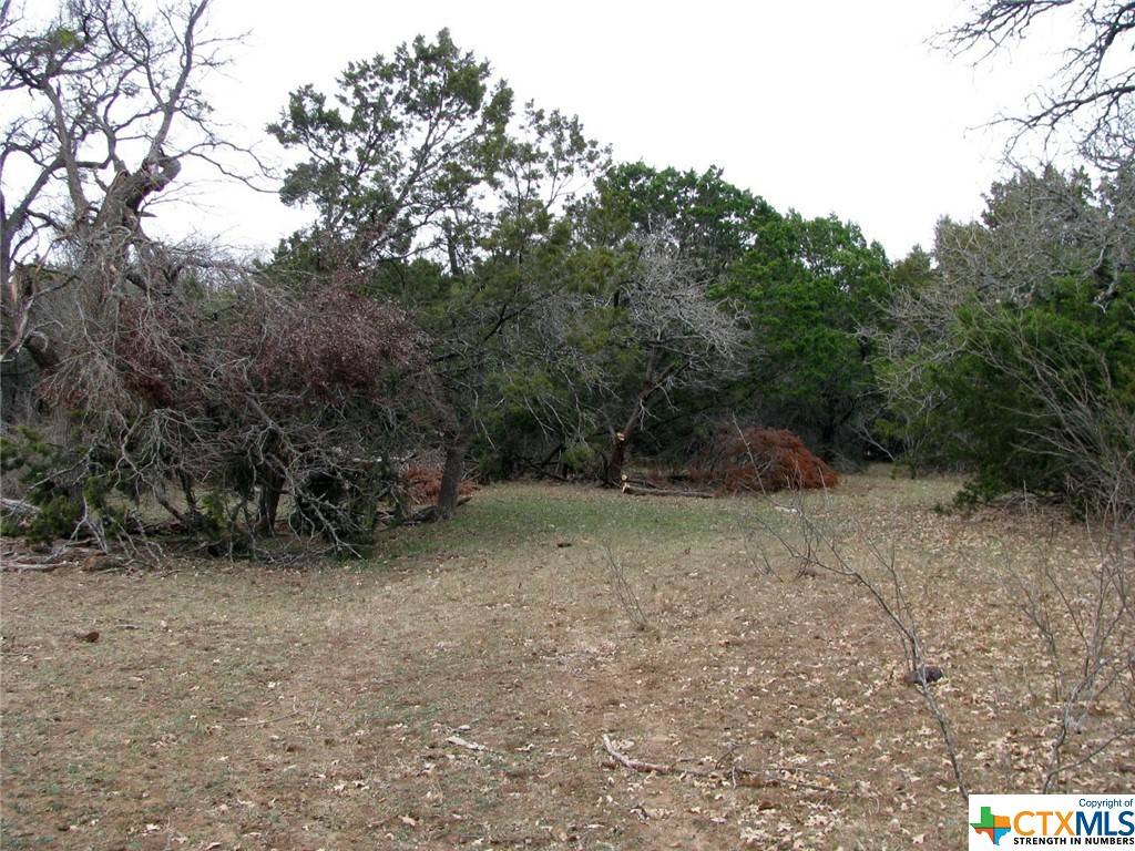Evant, TX 76525,TBD County Road 3830 S/S