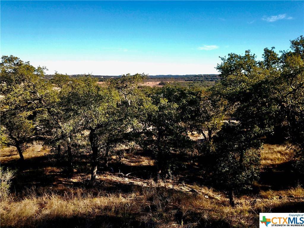 Spring Branch, TX 78070,3173 Campestres