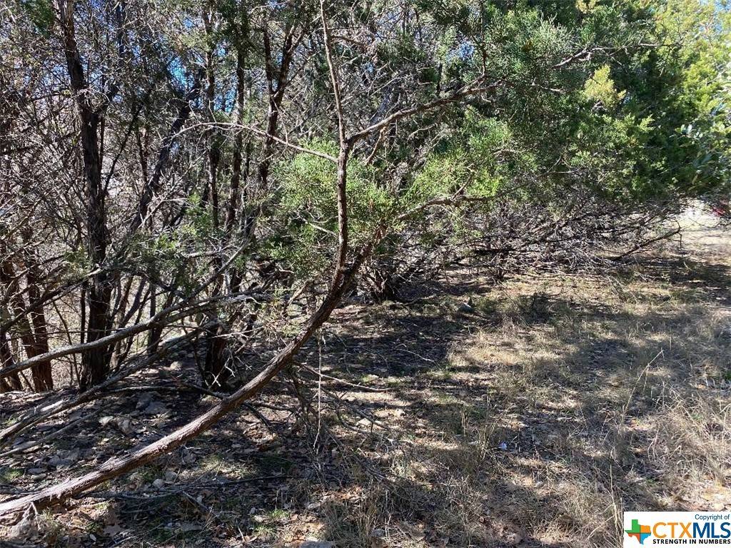 Point Venture, TX 78645,421 Venture BLVD