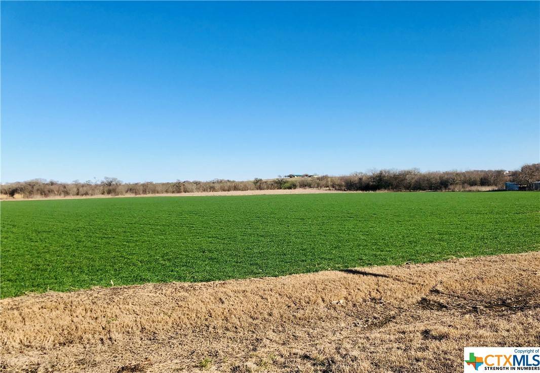 Thrall, TX 76578,Tbd County Rd 424