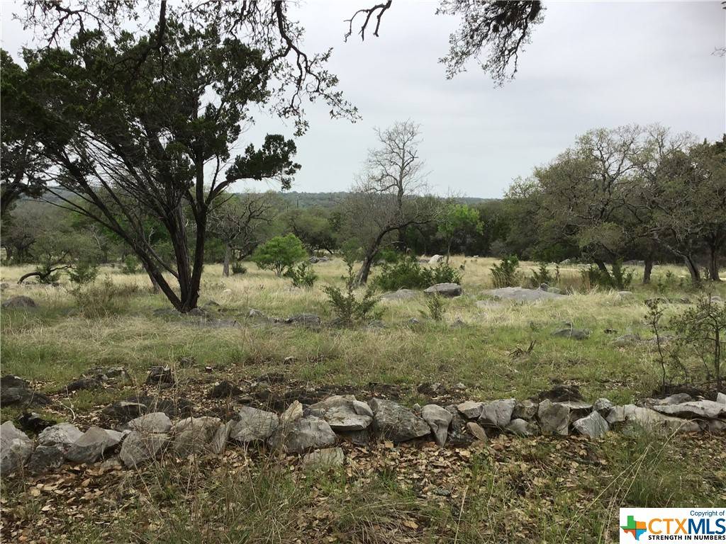 Johnson City, TX 78636,630 Pedernales Oaks