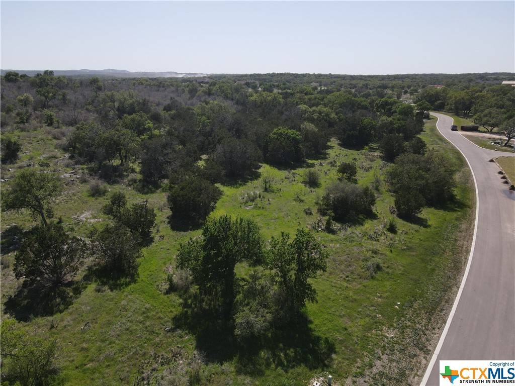 Spicewood, TX 78669,152 Eagle Basin CIR