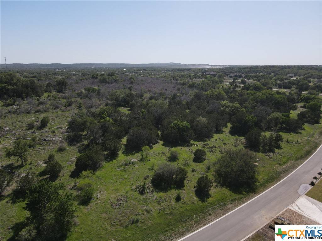 Spicewood, TX 78669,152 Eagle Basin CIR