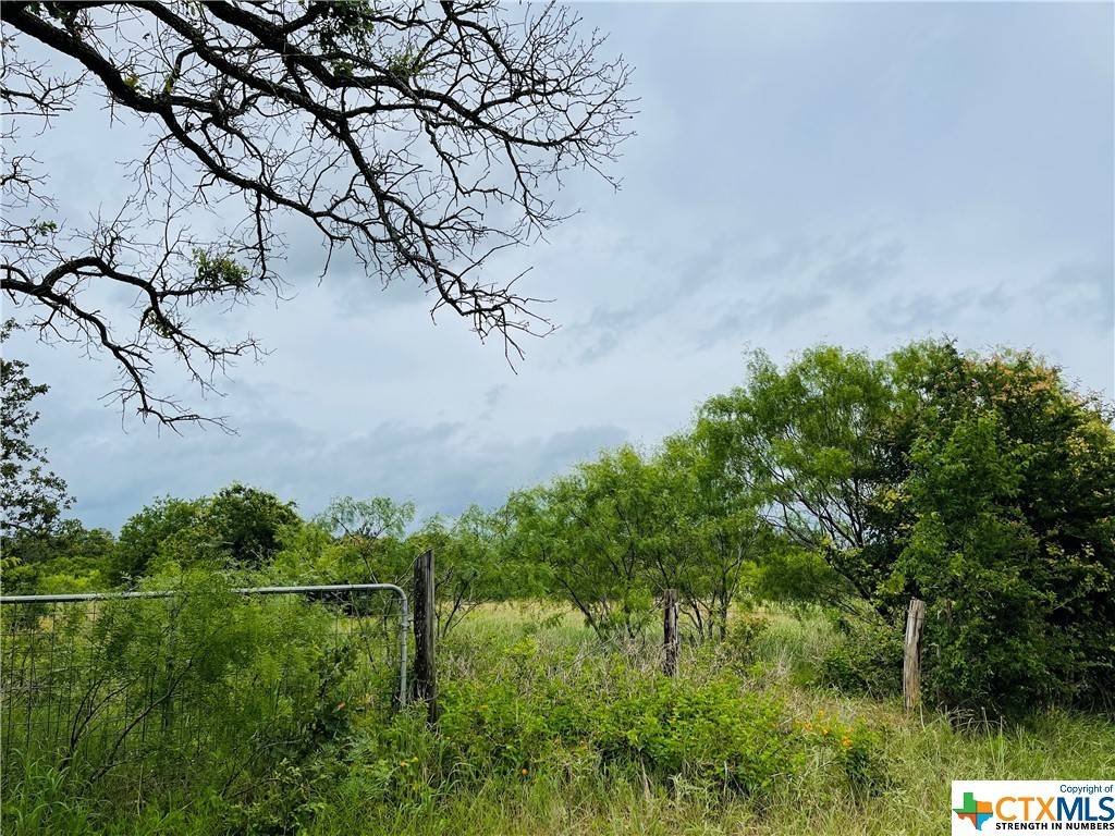 Dale, TX 78616,000 Tumbleweed TRL