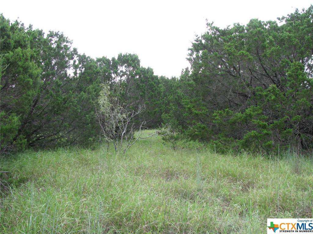 Evant, TX 76525,TBD County Road 160