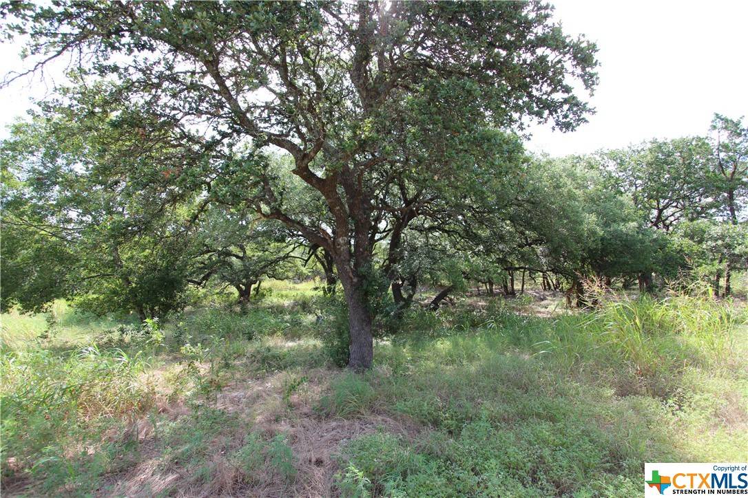 Liberty Hill, TX 78642,500 County Road 288
