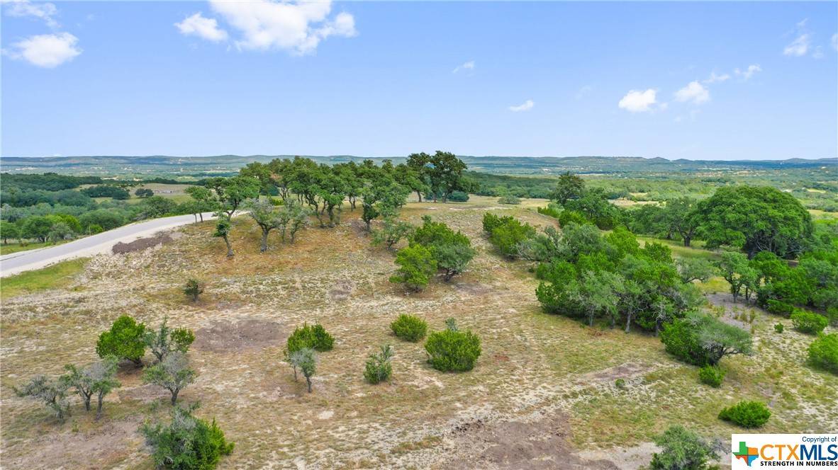 Blanco, TX 78606,0 Majestic Hills Lot 99