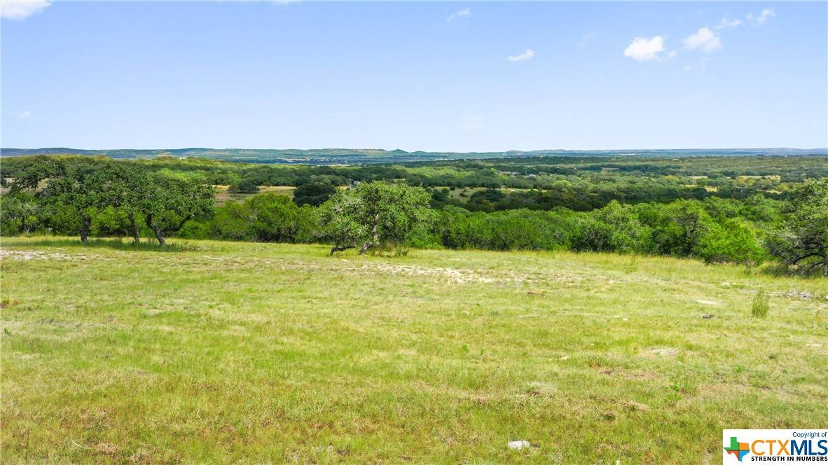 Blanco, TX 78606,0 Majestic Hills Lot 99