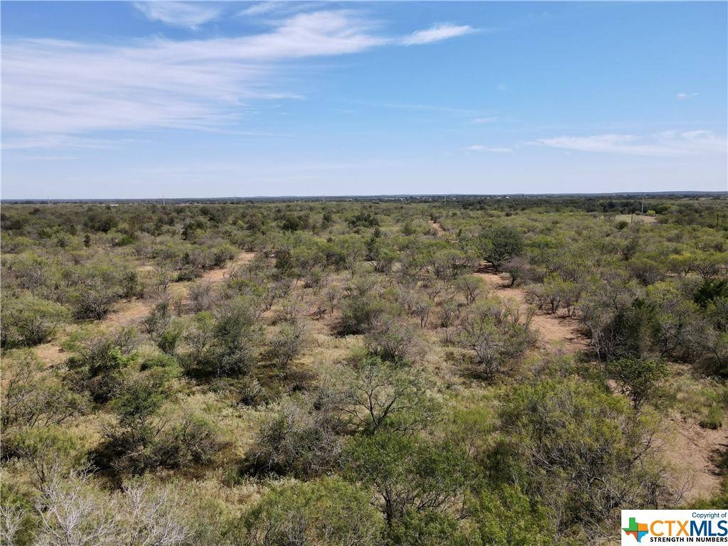 Kingsbury, TX 78638,TBD Lot 4 Gander Slough RD