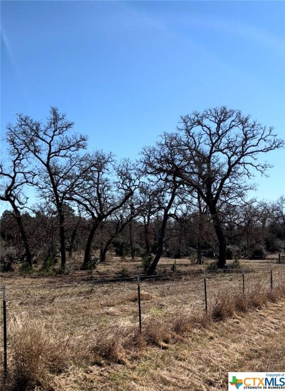 Paige, TX 78659,Lot 2 South Old Potato RD