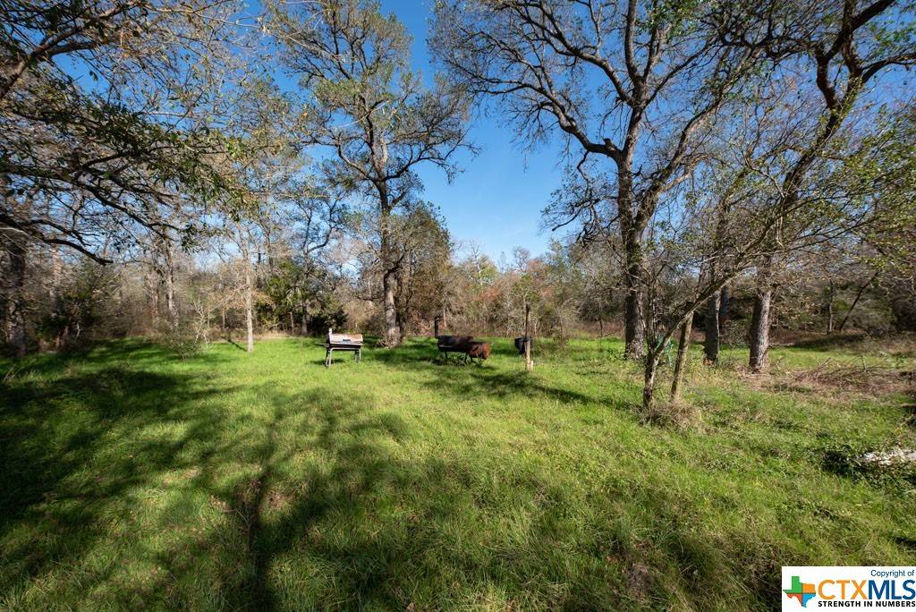 Cedar Creek, TX 78612,249 Wright DR