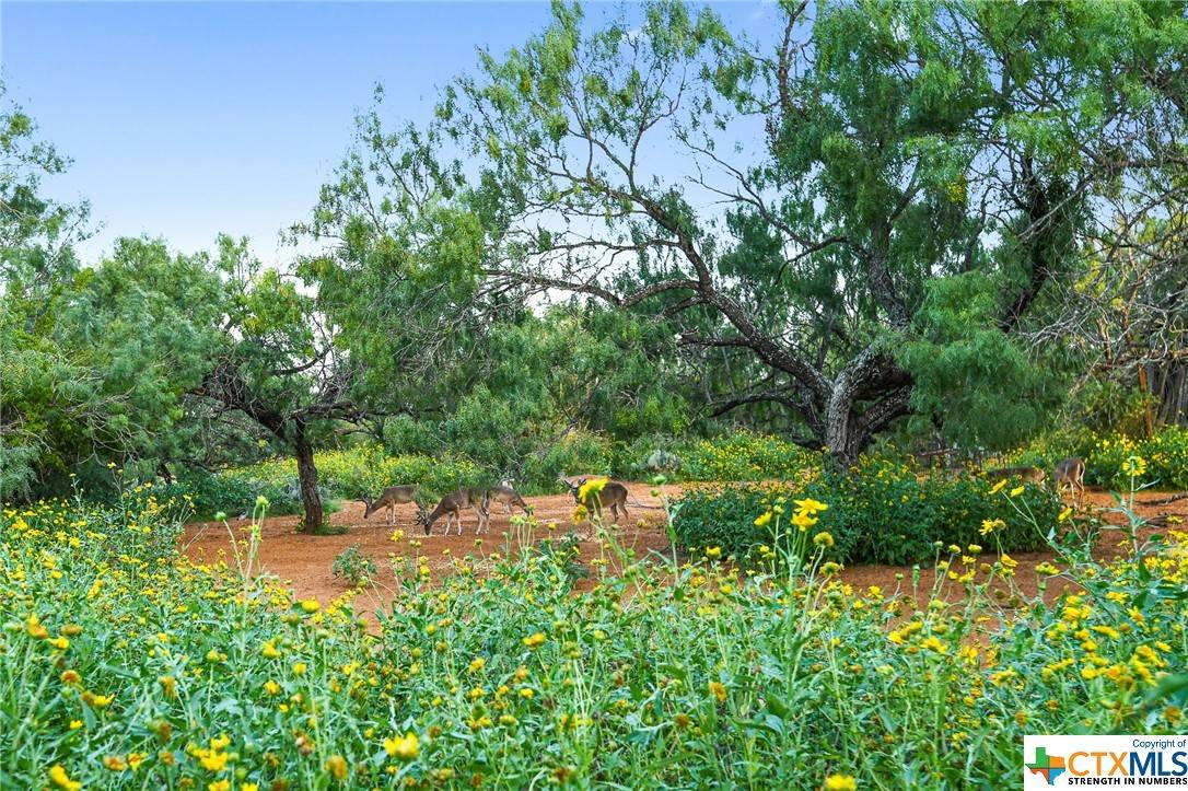Dilley, TX 78017,5160 County Road 4670