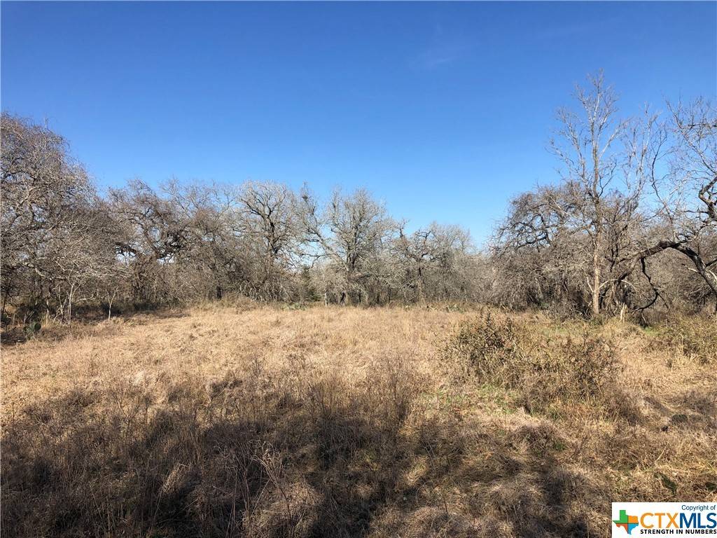 Stockdale, TX 78160,Lot 13 County Road 423