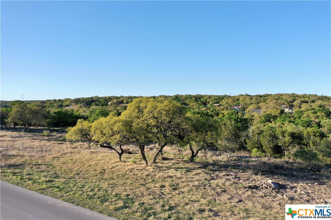 Spring Branch, TX 78070,2637 Campestres