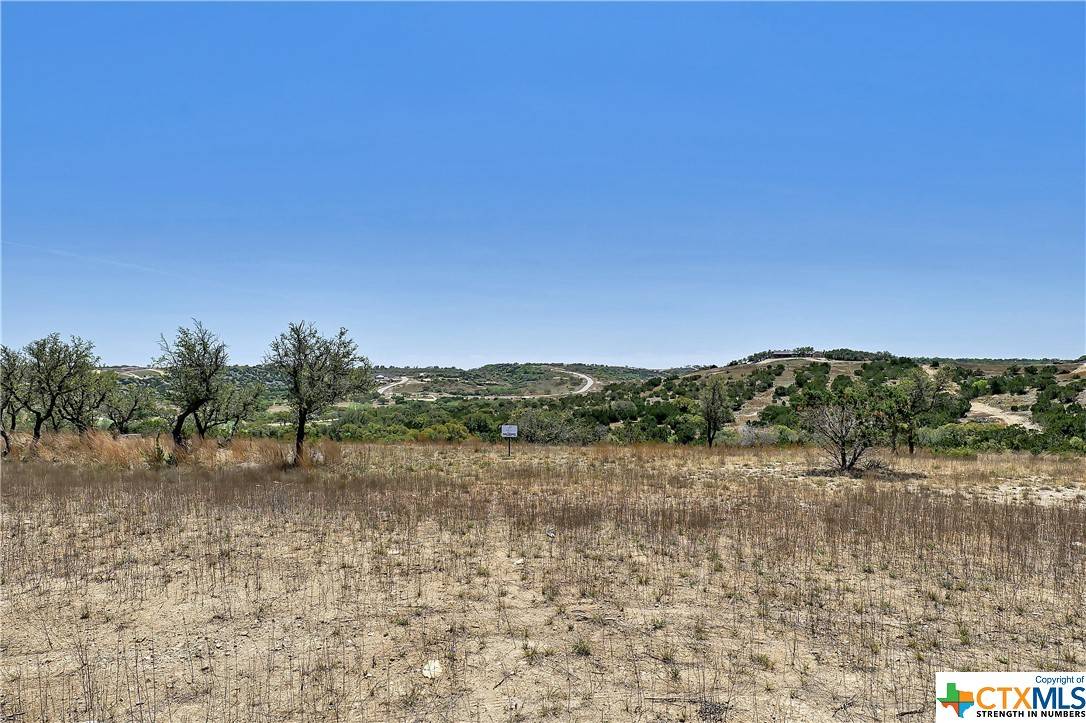 Blanco, TX 78606,Lot 91 Majestic Hills