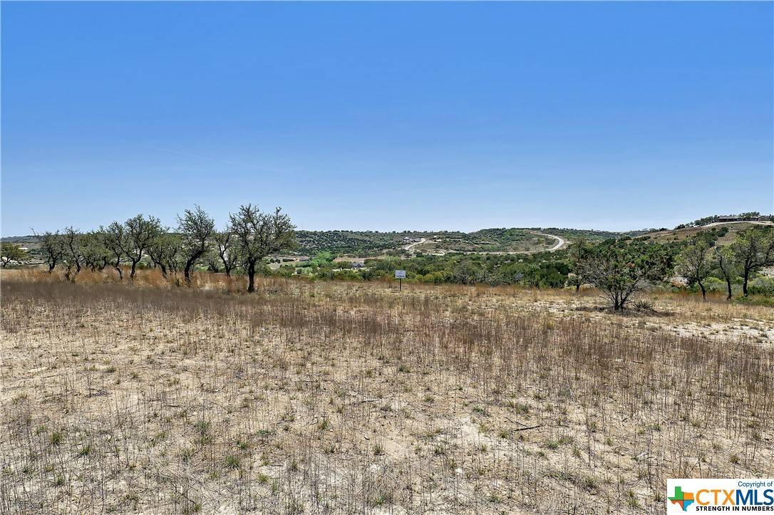 Blanco, TX 78606,Lot 91 Majestic Hills