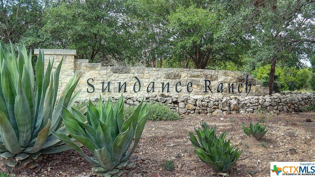 Boerne, TX 78006,25146 Buffalo Clover