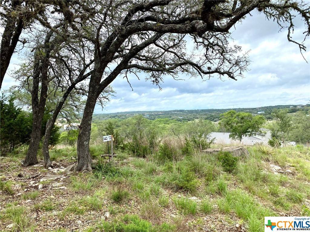 Canyon Lake, TX 78133,2162 Bella VIS