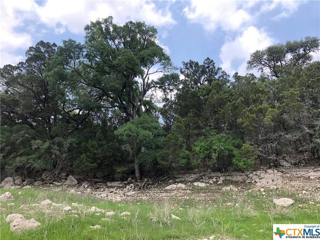 Wimberley, TX 78676,TBD Comanche TRL