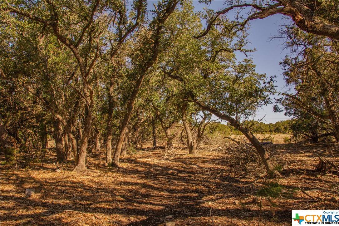 Blanco, TX 78606,2080 Divide PASS