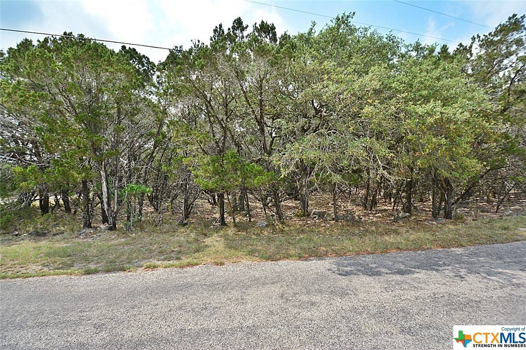 Spring Branch, TX 78070,0 Winding Creek TRL