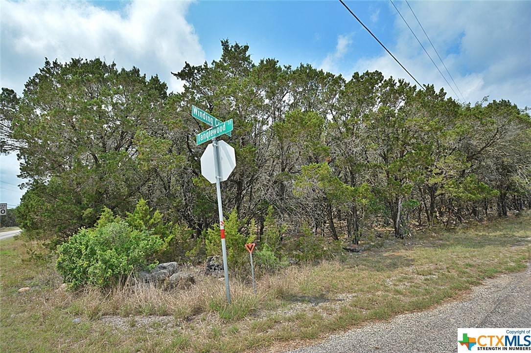 Spring Branch, TX 78070,0 Winding Creek TRL