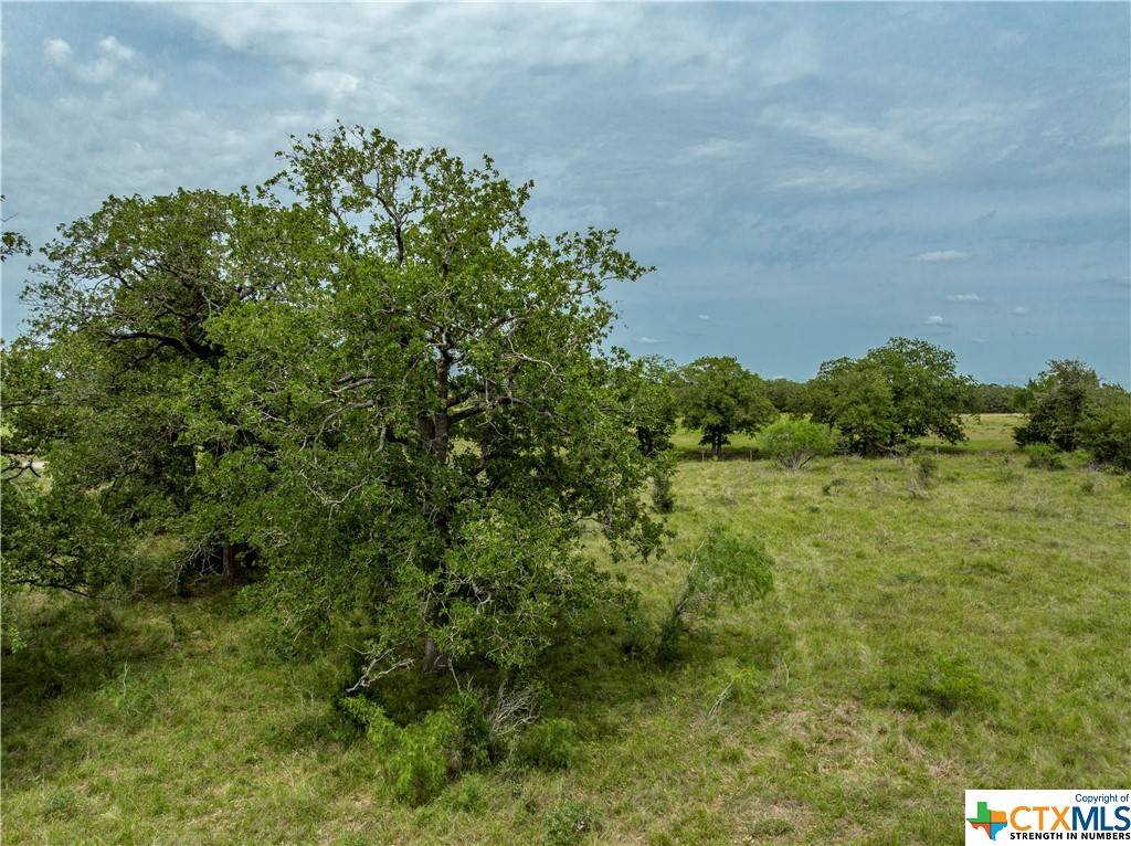 Waelder, TX 78959,TBD County Rd 405