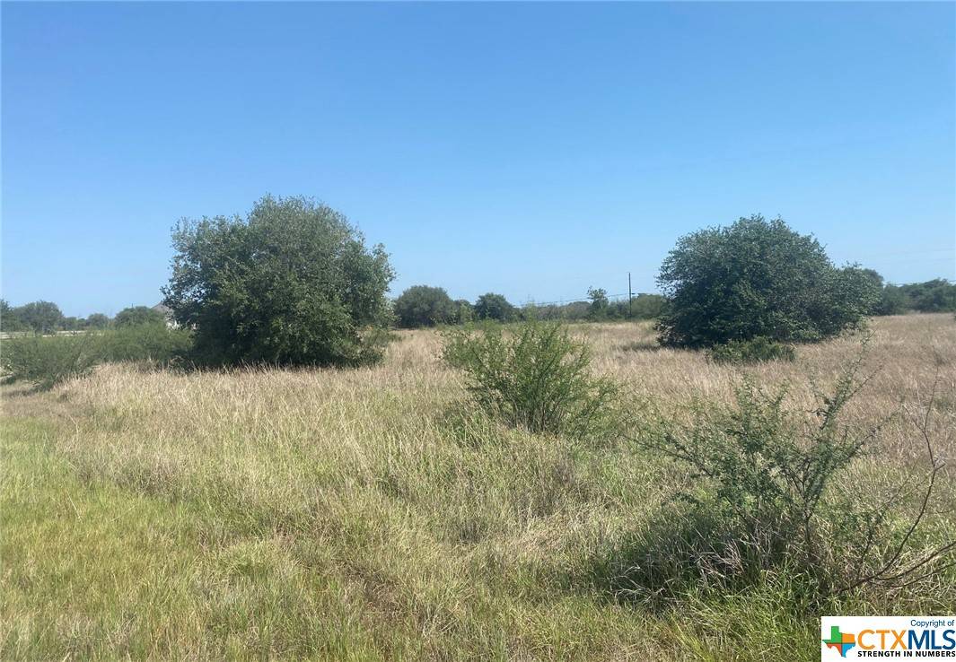 Nursery, TX 77904,00 Bliss