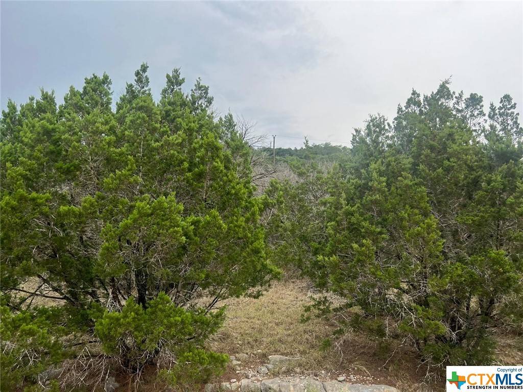 Canyon Lake, TX 78133,651 Rockmoor