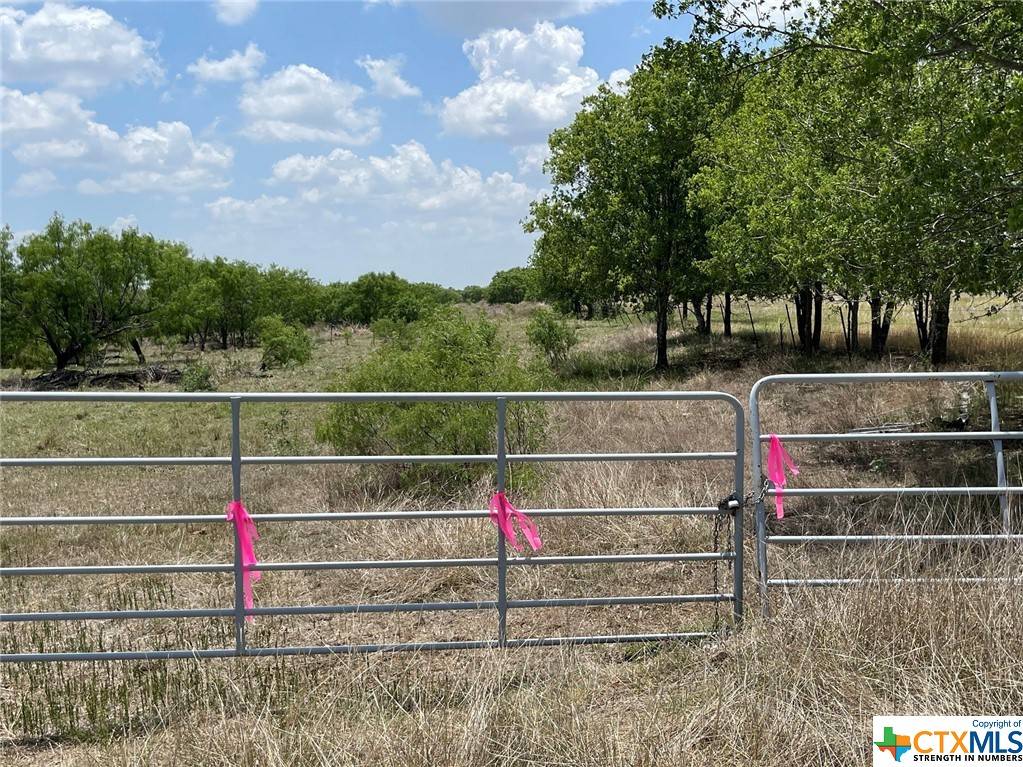 Stockdale, TX 78160,3444 County Road 463-Lot B