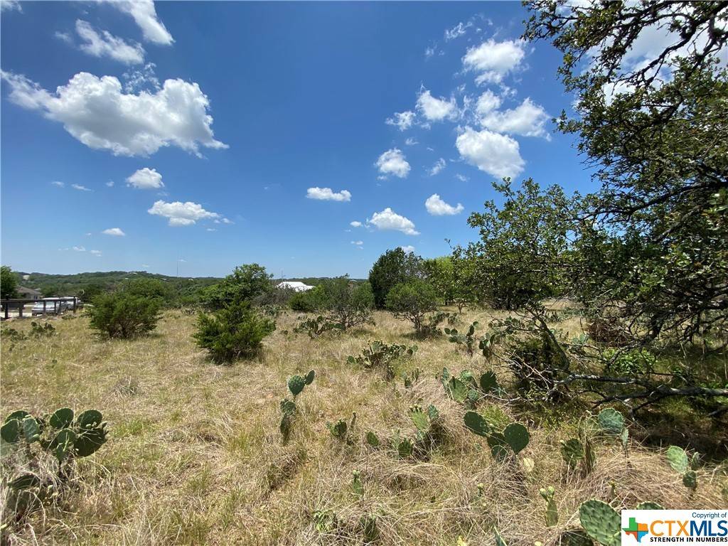 New Braunfels, TX 78132,1408 Shady HOLW