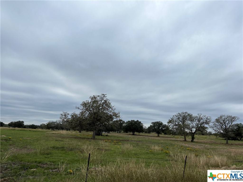 Cuero, TX 77954,0000 Cattle Guard RD