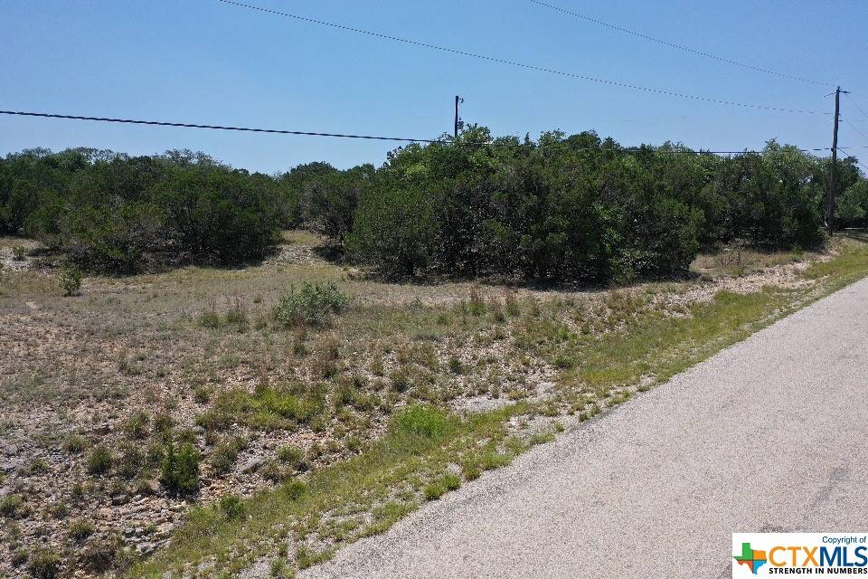 Canyon Lake, TX 78133,179 George Strait