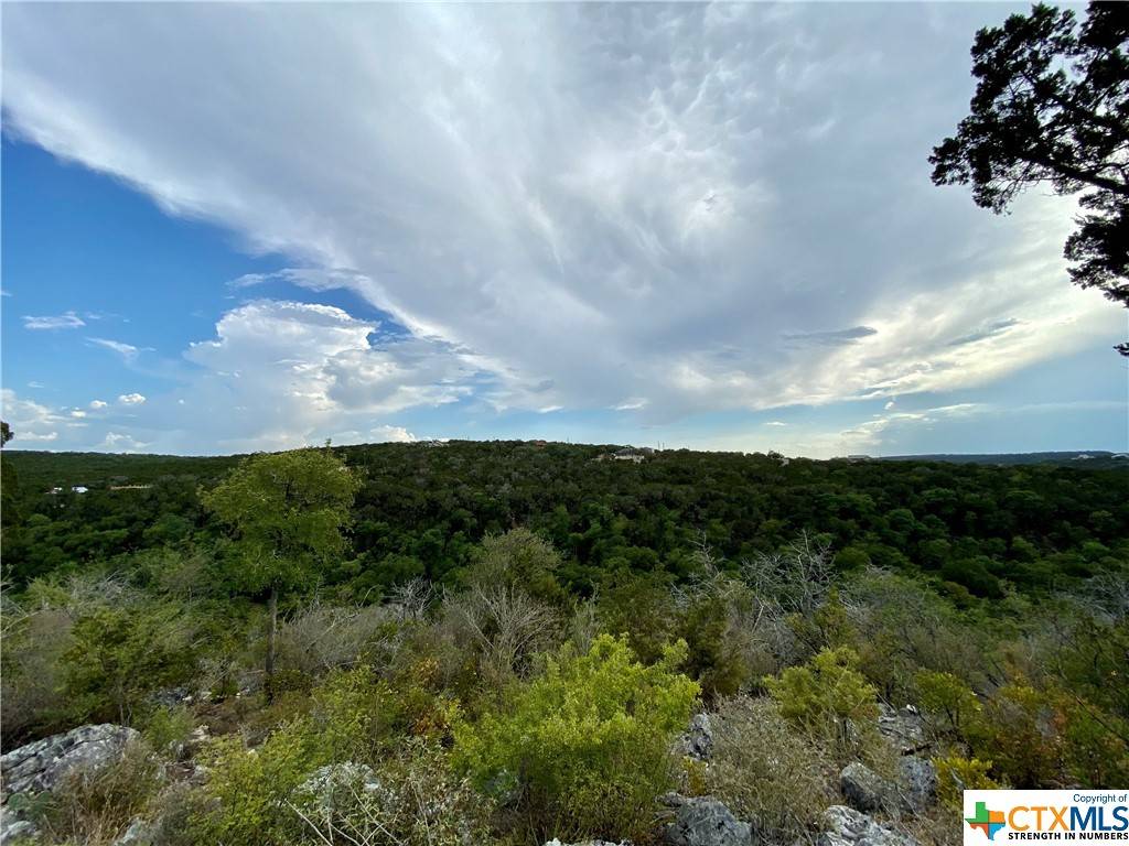 New Braunfels, TX 78132,316 Hilltop RDG