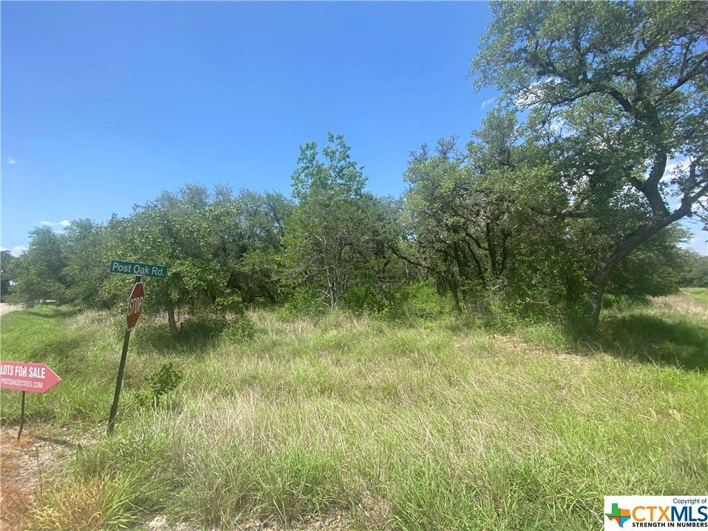 Inez, TX 77968,Lot 16 Post Oak Rd