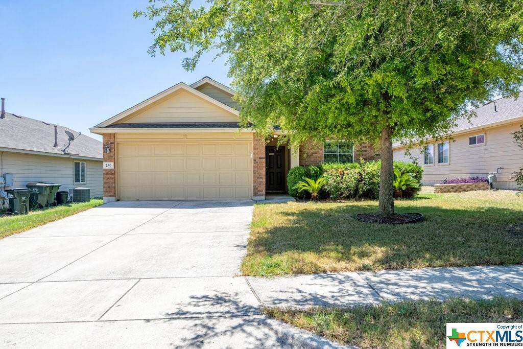 San Marcos, TX 78666,230 Wild Plum