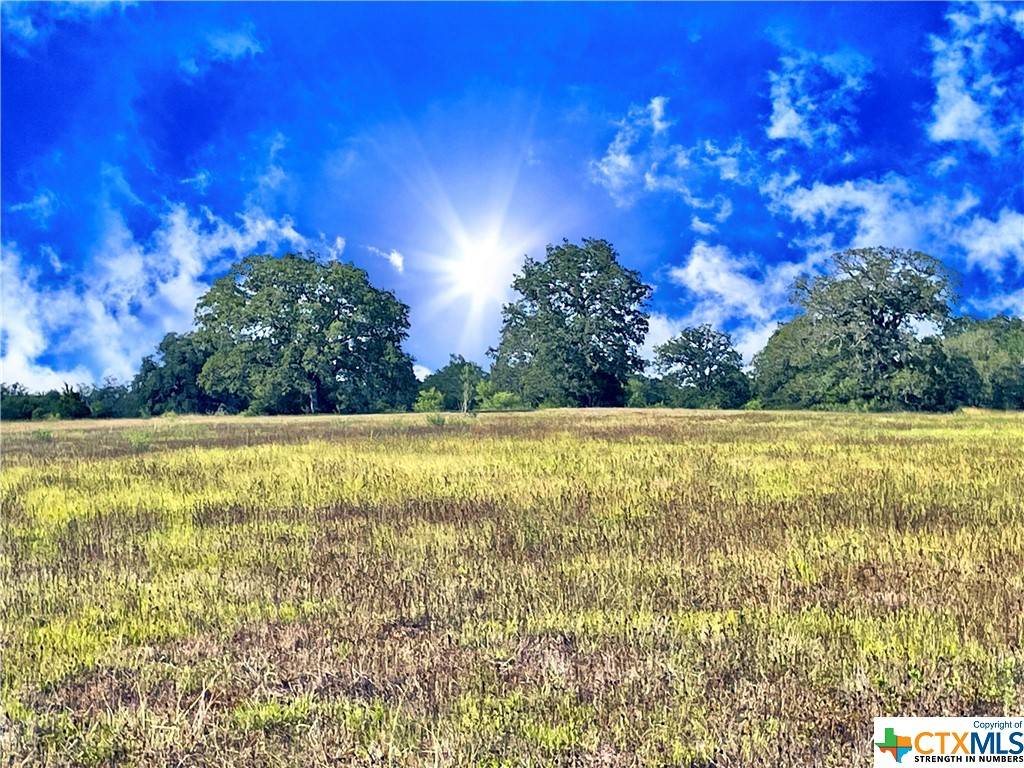 Luling, TX 78648,5300 Soda Springs RD