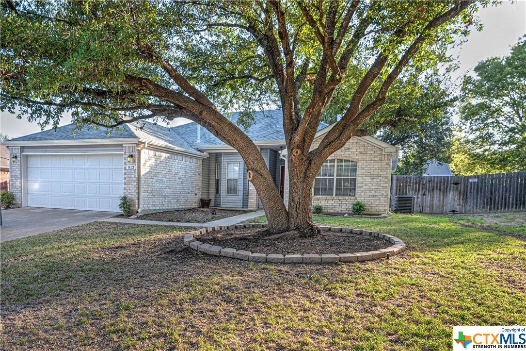 Temple, TX 76504,913 Filly LN