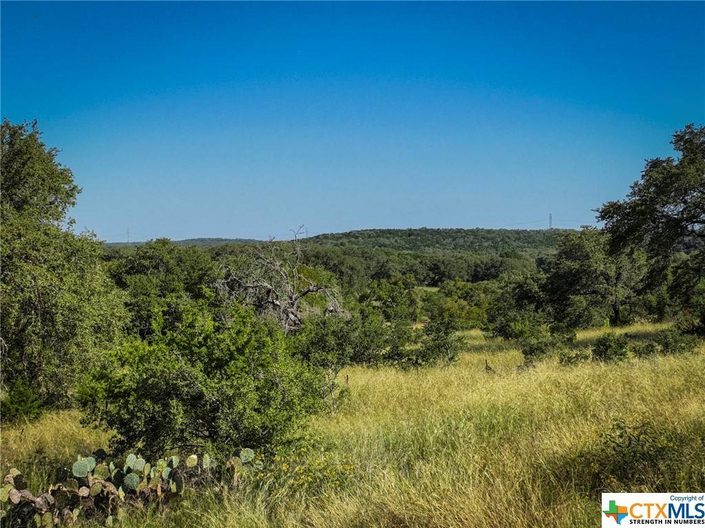 New Braunfels, TX 78132,5950 Colin RDG