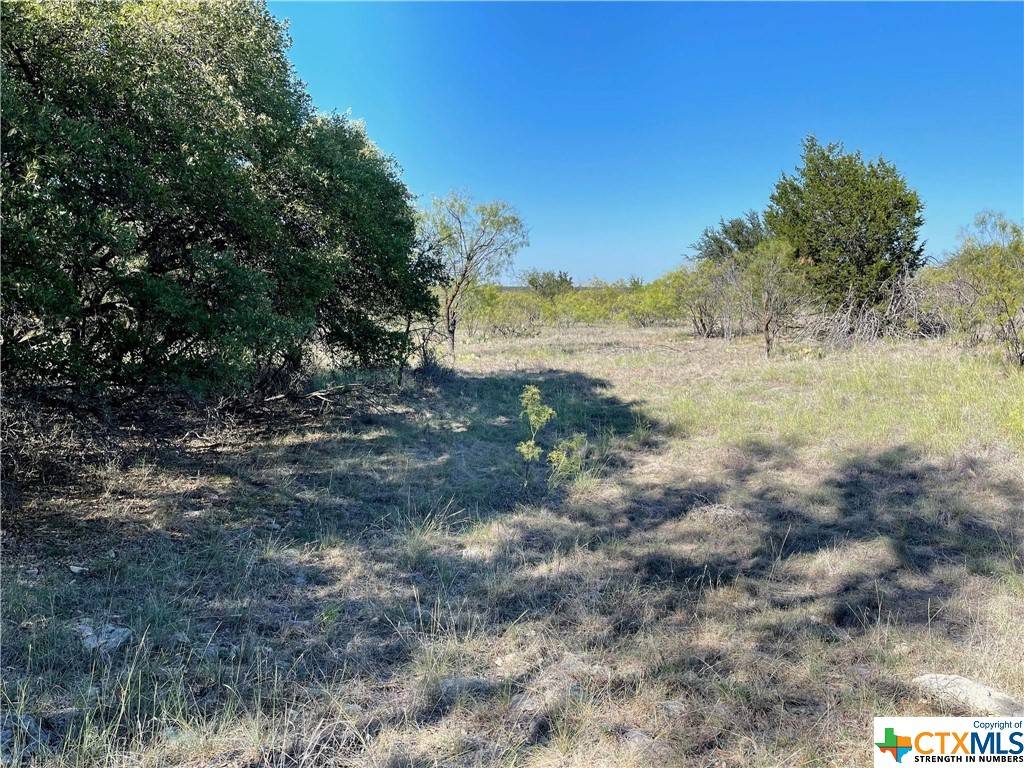 Brownwood, TX 76801,TBD213 Carie DR