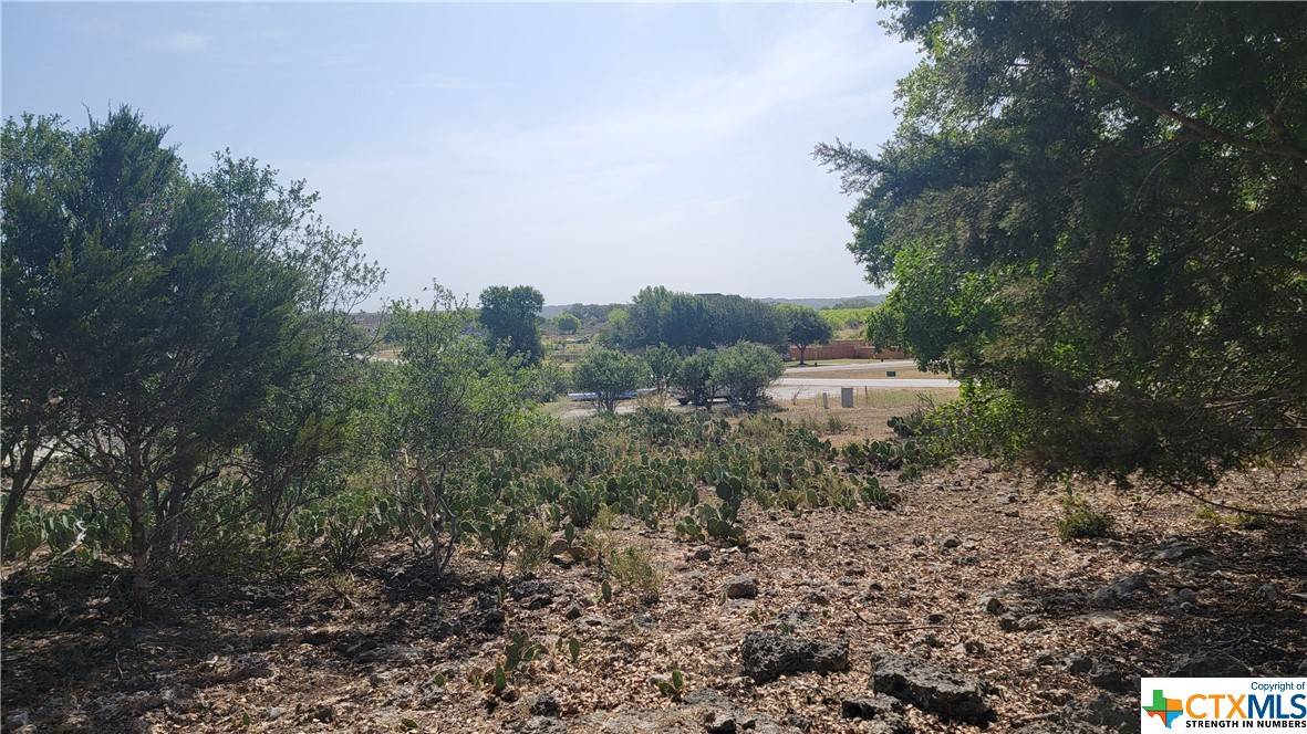 Spring Branch, TX 78070,1039 Morning GLN